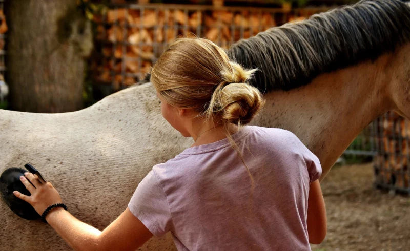 Frau mit Pferd
